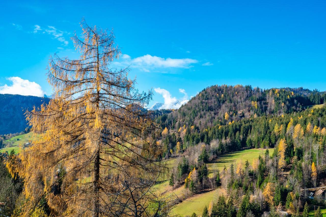 Apartments Farm House Uric Jesenice Εξωτερικό φωτογραφία