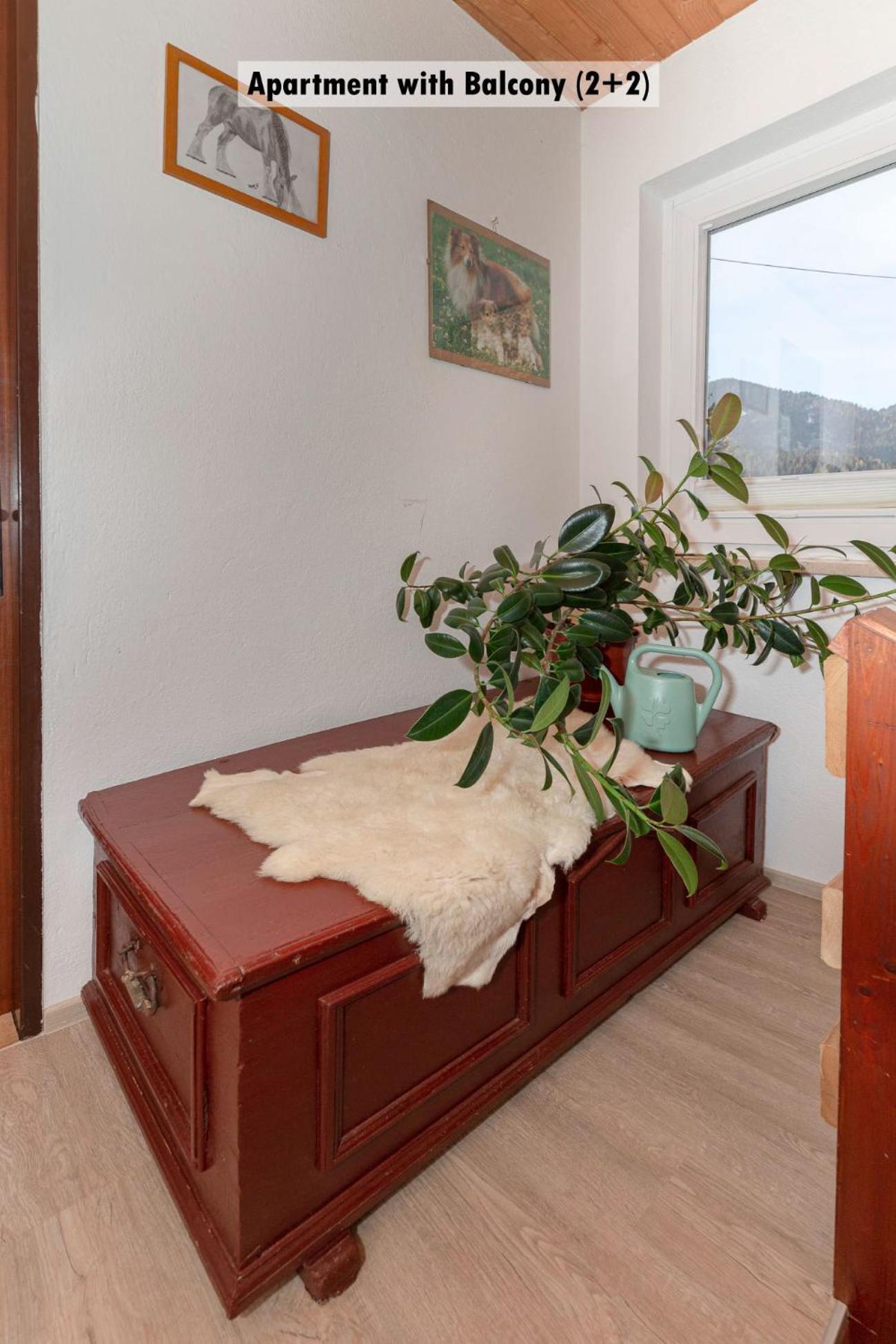 Apartments Farm House Uric Jesenice Εξωτερικό φωτογραφία
